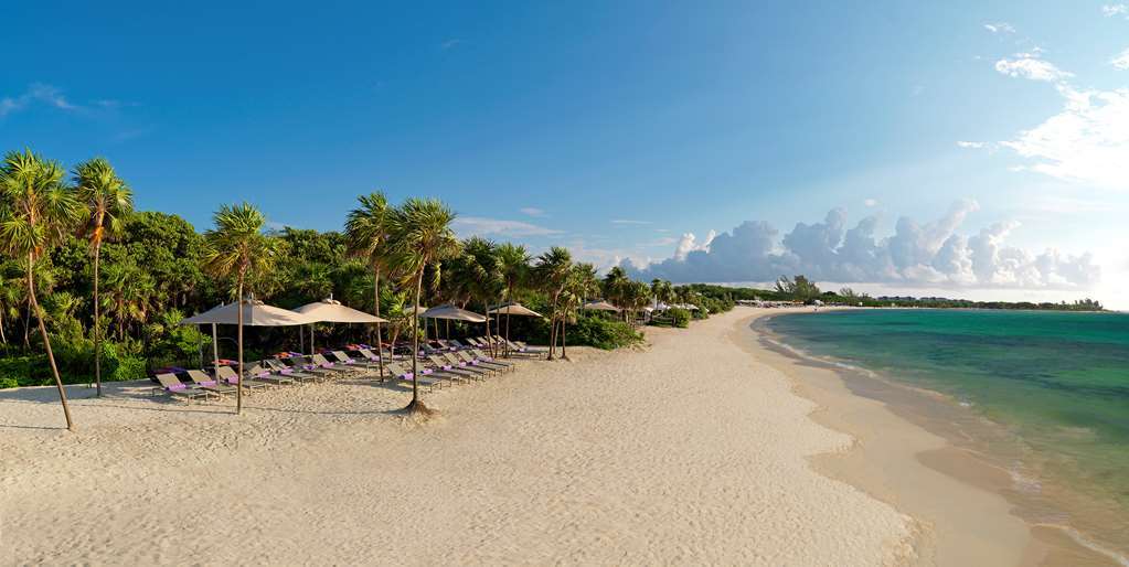 Royal Service At Paradisus La Perla (Adults Only) Playa del Carmen Alam Semulajadi gambar